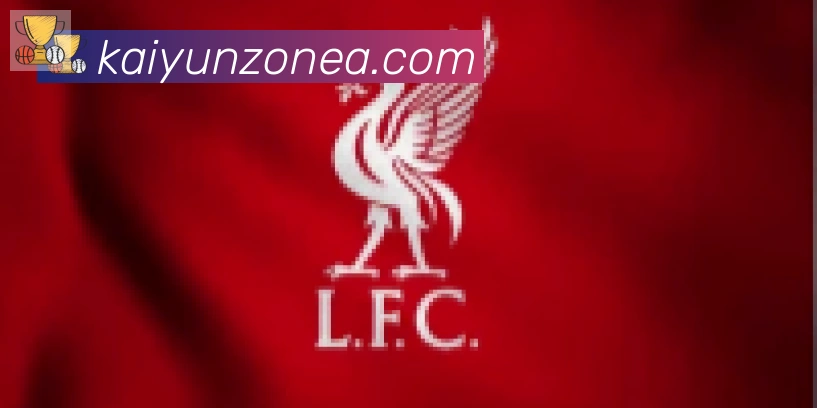 ky开云合作伙伴